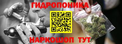 прущие грибы Заводоуковск