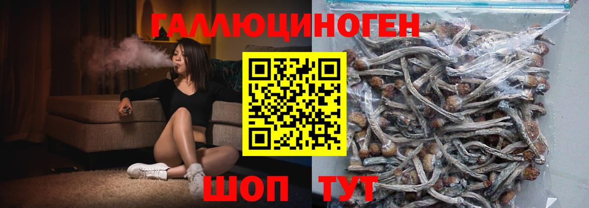 Галлюциногенные грибы Cubensis Клинцы